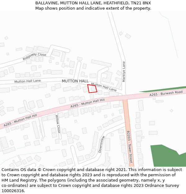 BALLAVINE, MUTTON HALL LANE, HEATHFIELD, TN21 8NX: Location map and indicative extent of plot