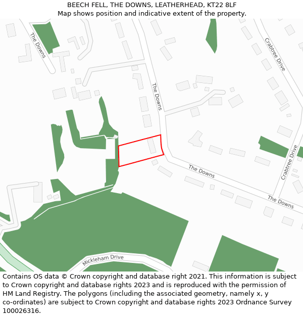 BEECH FELL, THE DOWNS, LEATHERHEAD, KT22 8LF: Location map and indicative extent of plot