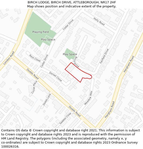 BIRCH LODGE, BIRCH DRIVE, ATTLEBOROUGH, NR17 2HF: Location map and indicative extent of plot