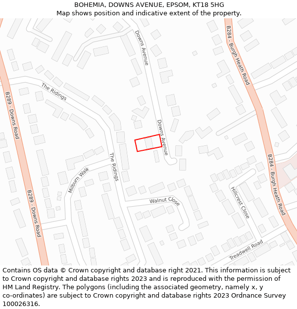 BOHEMIA, DOWNS AVENUE, EPSOM, KT18 5HG: Location map and indicative extent of plot