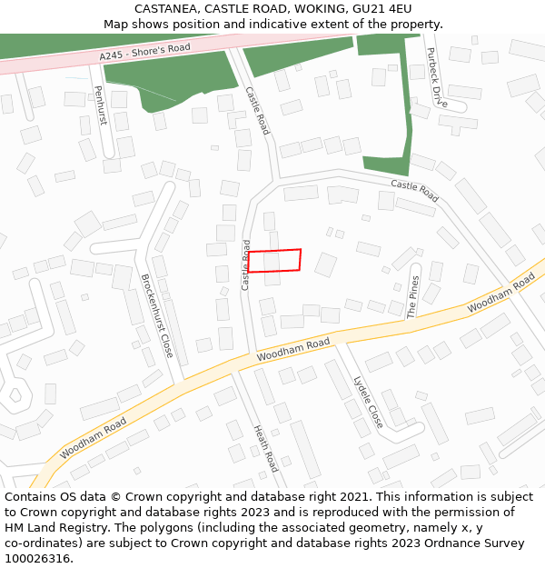 CASTANEA, CASTLE ROAD, WOKING, GU21 4EU: Location map and indicative extent of plot