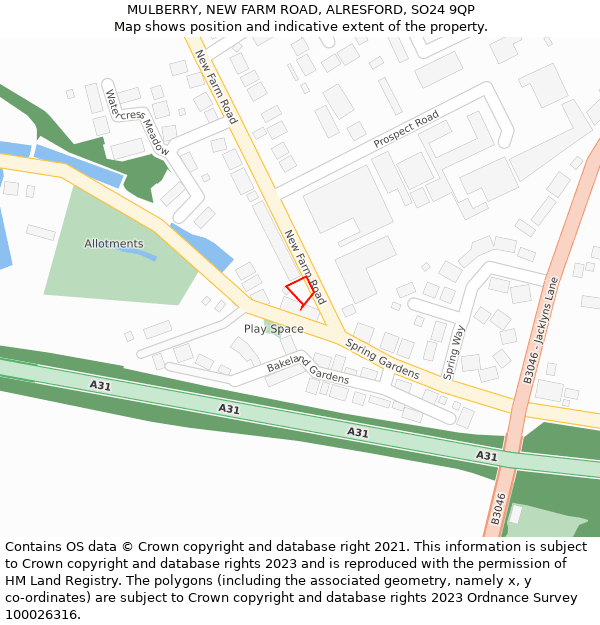 MULBERRY, NEW FARM ROAD, ALRESFORD, SO24 9QP: Location map and indicative extent of plot