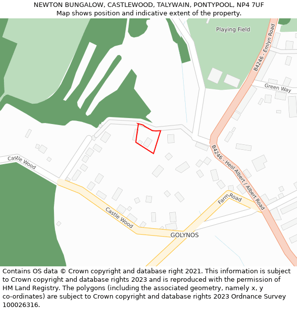 NEWTON BUNGALOW, CASTLEWOOD, TALYWAIN, PONTYPOOL, NP4 7UF: Location map and indicative extent of plot
