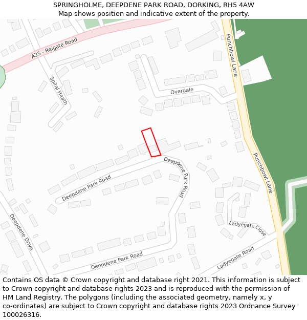 SPRINGHOLME, DEEPDENE PARK ROAD, DORKING, RH5 4AW: Location map and indicative extent of plot
