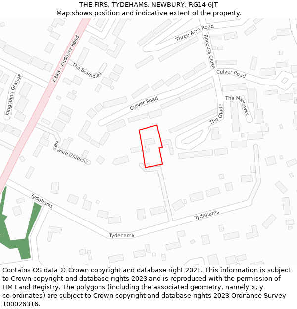 THE FIRS, TYDEHAMS, NEWBURY, RG14 6JT: Location map and indicative extent of plot