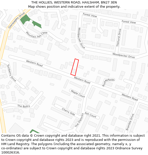 THE HOLLIES, WESTERN ROAD, HAILSHAM, BN27 3EN: Location map and indicative extent of plot