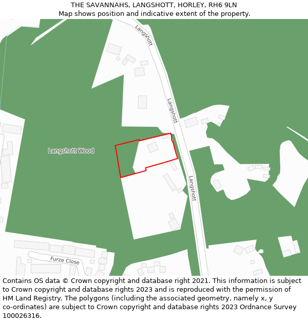THE SAVANNAHS, LANGSHOTT, HORLEY, RH6 9LN: Location map and indicative extent of plot