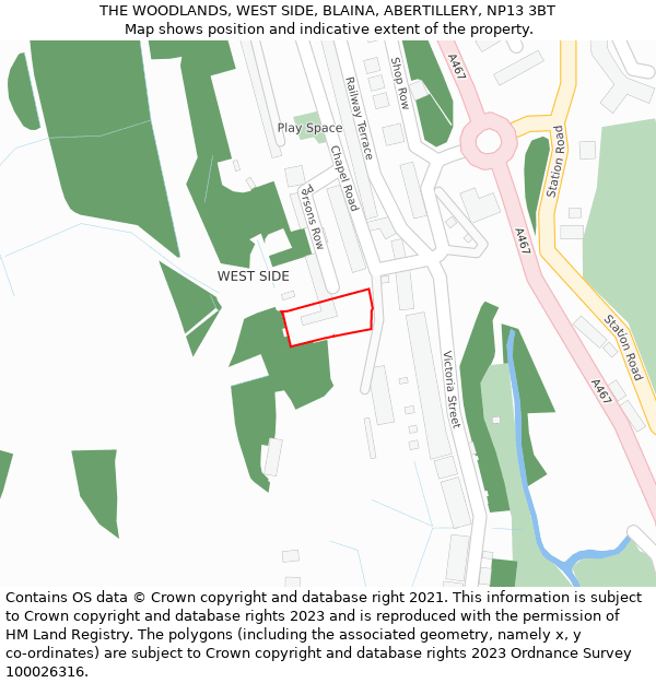 THE WOODLANDS, WEST SIDE, BLAINA, ABERTILLERY, NP13 3BT: Location map and indicative extent of plot