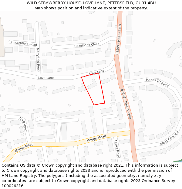 WILD STRAWBERRY HOUSE, LOVE LANE, PETERSFIELD, GU31 4BU: Location map and indicative extent of plot