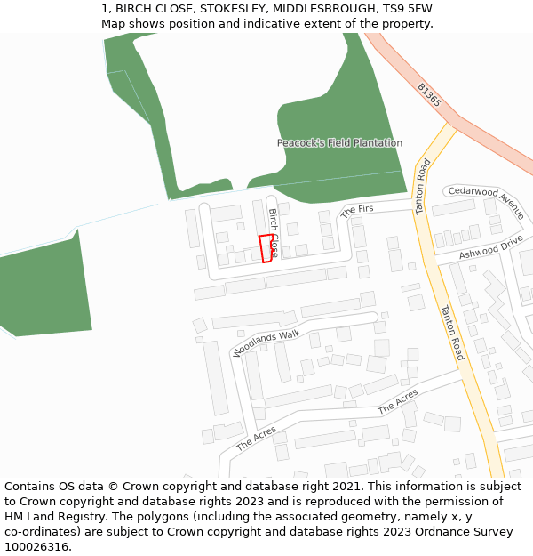 1, BIRCH CLOSE, STOKESLEY, MIDDLESBROUGH, TS9 5FW: Location map and indicative extent of plot