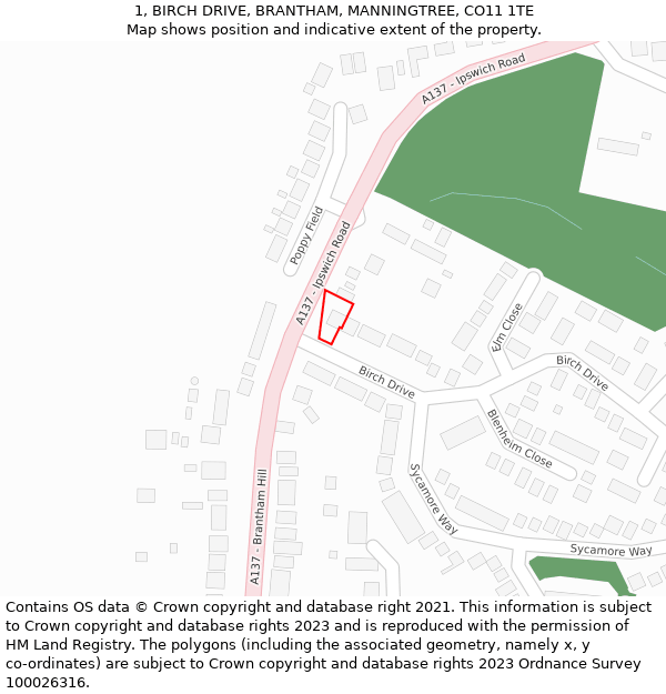 1, BIRCH DRIVE, BRANTHAM, MANNINGTREE, CO11 1TE: Location map and indicative extent of plot