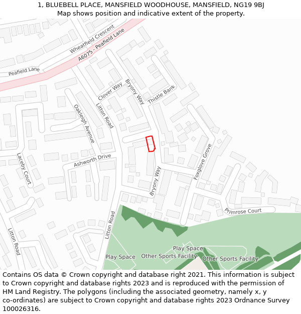 1, BLUEBELL PLACE, MANSFIELD WOODHOUSE, MANSFIELD, NG19 9BJ: Location map and indicative extent of plot