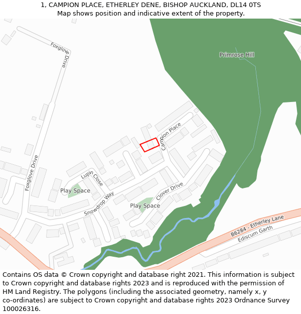 1, CAMPION PLACE, ETHERLEY DENE, BISHOP AUCKLAND, DL14 0TS: Location map and indicative extent of plot