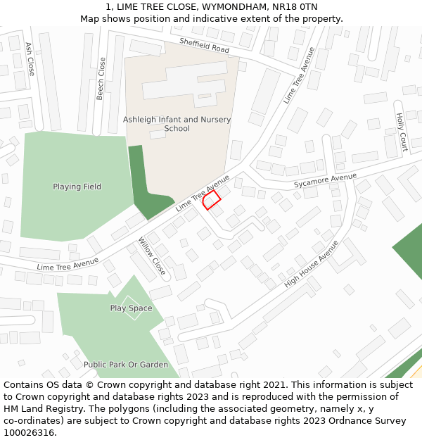 1, LIME TREE CLOSE, WYMONDHAM, NR18 0TN: Location map and indicative extent of plot