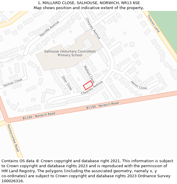 1, MALLARD CLOSE, SALHOUSE, NORWICH, NR13 6SE: Location map and indicative extent of plot