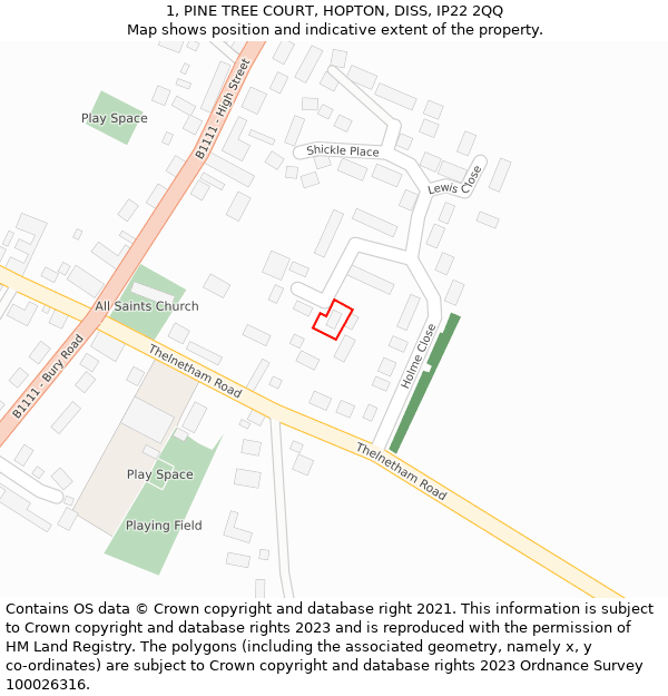 1, PINE TREE COURT, HOPTON, DISS, IP22 2QQ: Location map and indicative extent of plot