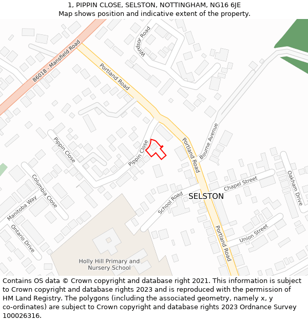 1, PIPPIN CLOSE, SELSTON, NOTTINGHAM, NG16 6JE: Location map and indicative extent of plot