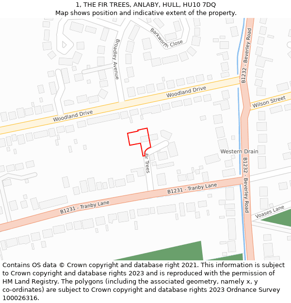 1, THE FIR TREES, ANLABY, HULL, HU10 7DQ: Location map and indicative extent of plot