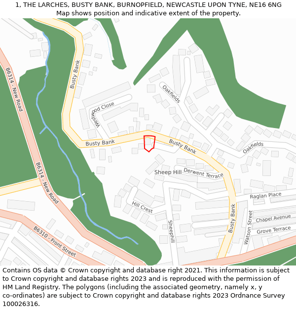 1, THE LARCHES, BUSTY BANK, BURNOPFIELD, NEWCASTLE UPON TYNE, NE16 6NG: Location map and indicative extent of plot