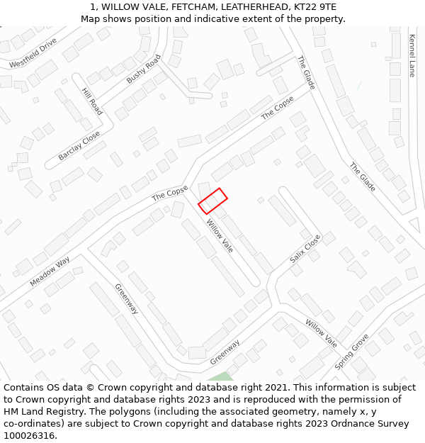 1, WILLOW VALE, FETCHAM, LEATHERHEAD, KT22 9TE: Location map and indicative extent of plot