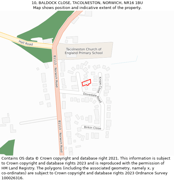 10, BALDOCK CLOSE, TACOLNESTON, NORWICH, NR16 1BU: Location map and indicative extent of plot