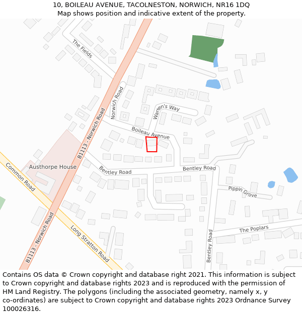 10, BOILEAU AVENUE, TACOLNESTON, NORWICH, NR16 1DQ: Location map and indicative extent of plot