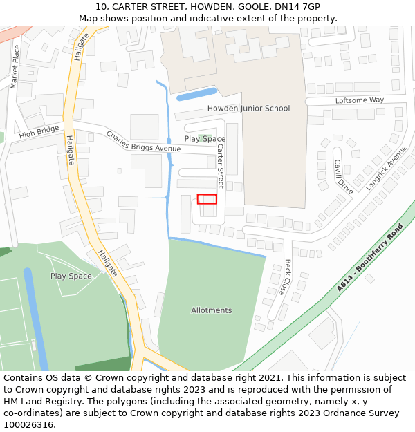 10, CARTER STREET, HOWDEN, GOOLE, DN14 7GP: Location map and indicative extent of plot