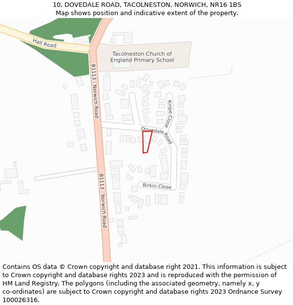 10, DOVEDALE ROAD, TACOLNESTON, NORWICH, NR16 1BS: Location map and indicative extent of plot
