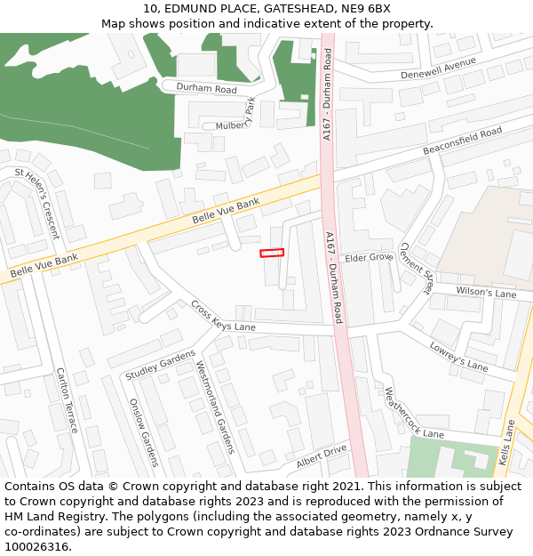 10, EDMUND PLACE, GATESHEAD, NE9 6BX: Location map and indicative extent of plot
