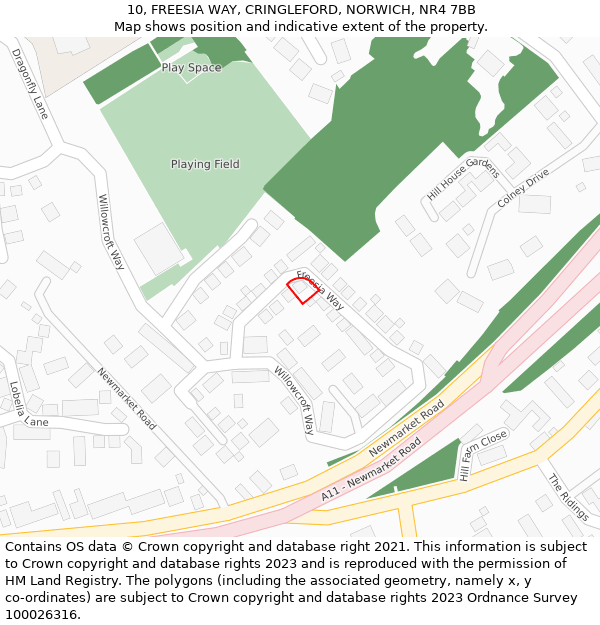 10, FREESIA WAY, CRINGLEFORD, NORWICH, NR4 7BB: Location map and indicative extent of plot