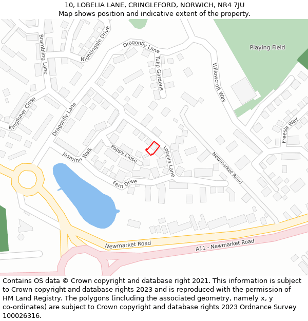 10, LOBELIA LANE, CRINGLEFORD, NORWICH, NR4 7JU: Location map and indicative extent of plot