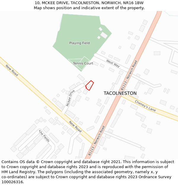 10, MCKEE DRIVE, TACOLNESTON, NORWICH, NR16 1BW: Location map and indicative extent of plot
