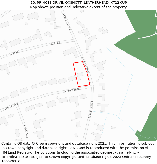 10, PRINCES DRIVE, OXSHOTT, LEATHERHEAD, KT22 0UP: Location map and indicative extent of plot