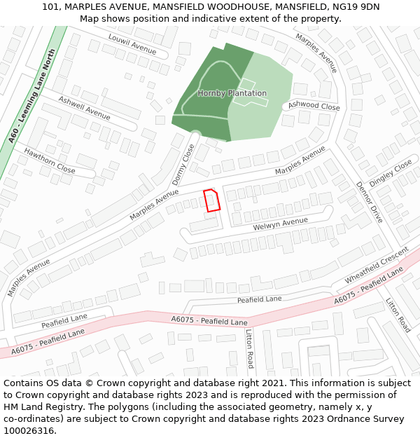 101, MARPLES AVENUE, MANSFIELD WOODHOUSE, MANSFIELD, NG19 9DN: Location map and indicative extent of plot