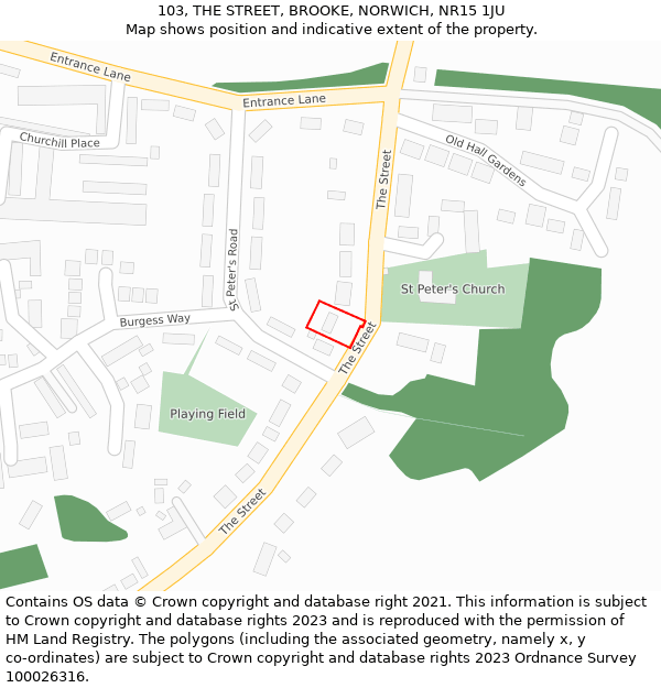 103, THE STREET, BROOKE, NORWICH, NR15 1JU: Location map and indicative extent of plot