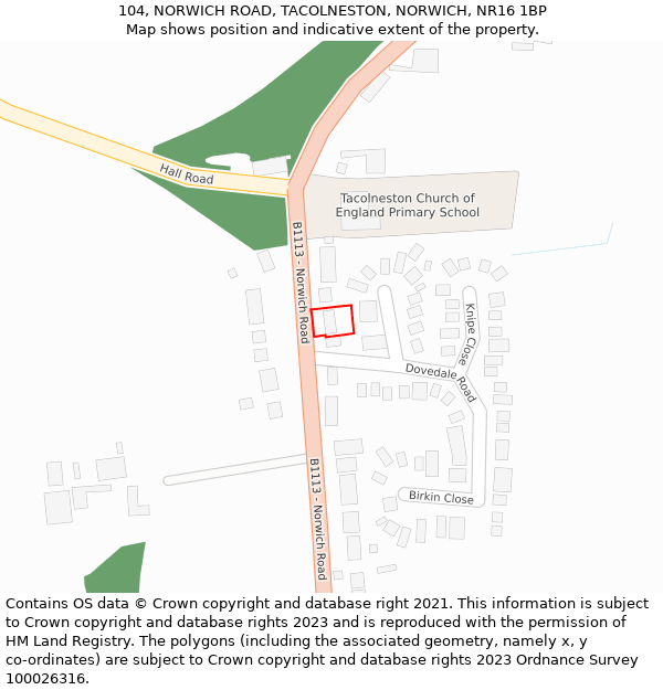 104, NORWICH ROAD, TACOLNESTON, NORWICH, NR16 1BP: Location map and indicative extent of plot