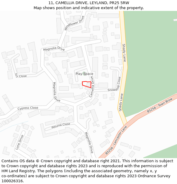 11, CAMELLIA DRIVE, LEYLAND, PR25 5RW: Location map and indicative extent of plot