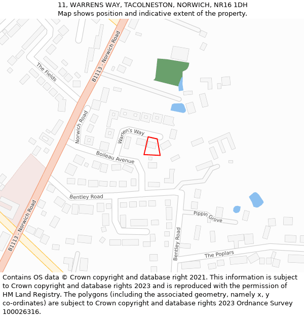 11, WARRENS WAY, TACOLNESTON, NORWICH, NR16 1DH: Location map and indicative extent of plot