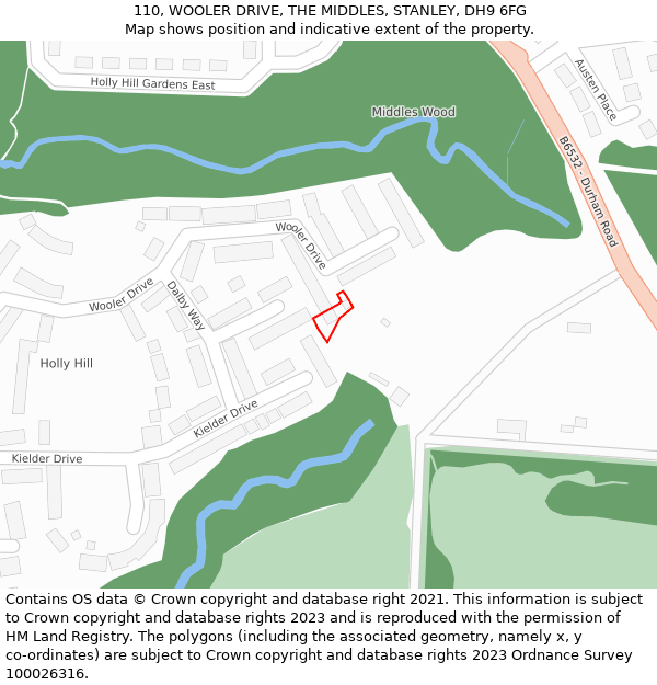110, WOOLER DRIVE, THE MIDDLES, STANLEY, DH9 6FG: Location map and indicative extent of plot