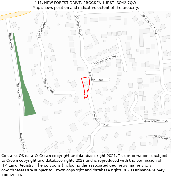 111, NEW FOREST DRIVE, BROCKENHURST, SO42 7QW: Location map and indicative extent of plot