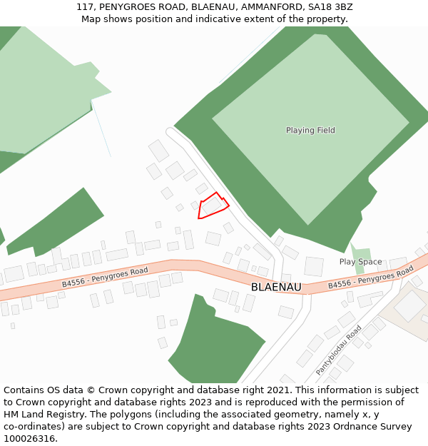 117, PENYGROES ROAD, BLAENAU, AMMANFORD, SA18 3BZ: Location map and indicative extent of plot