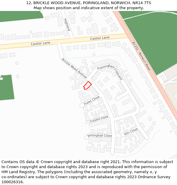12, BRICKLE WOOD AVENUE, PORINGLAND, NORWICH, NR14 7TS: Location map and indicative extent of plot