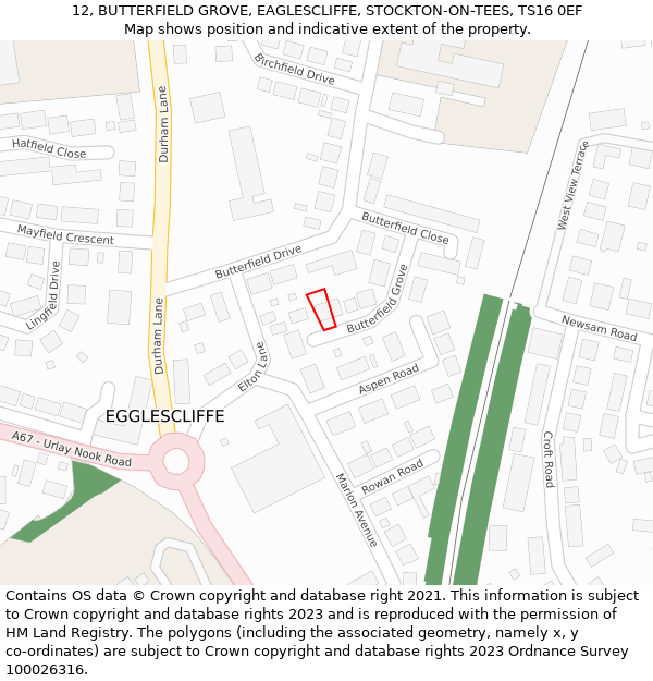 12, BUTTERFIELD GROVE, EAGLESCLIFFE, STOCKTON-ON-TEES, TS16 0EF: Location map and indicative extent of plot