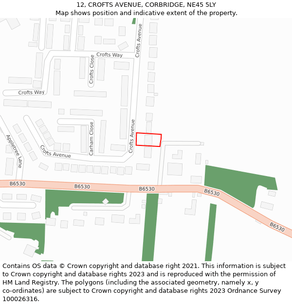 12, CROFTS AVENUE, CORBRIDGE, NE45 5LY: Location map and indicative extent of plot