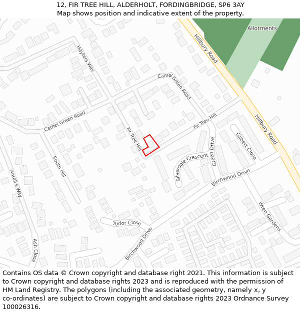 12, FIR TREE HILL, ALDERHOLT, FORDINGBRIDGE, SP6 3AY: Location map and indicative extent of plot