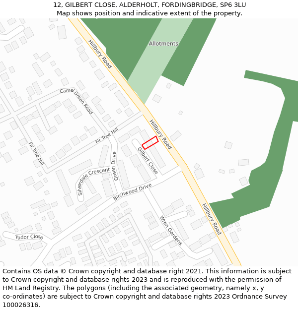12, GILBERT CLOSE, ALDERHOLT, FORDINGBRIDGE, SP6 3LU: Location map and indicative extent of plot