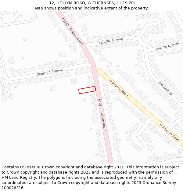 12, HOLLYM ROAD, WITHERNSEA, HU19 2PJ: Location map and indicative extent of plot