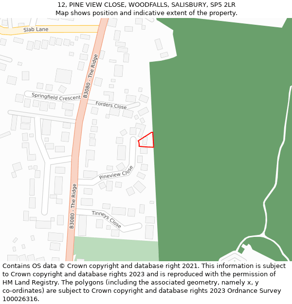 12, PINE VIEW CLOSE, WOODFALLS, SALISBURY, SP5 2LR: Location map and indicative extent of plot