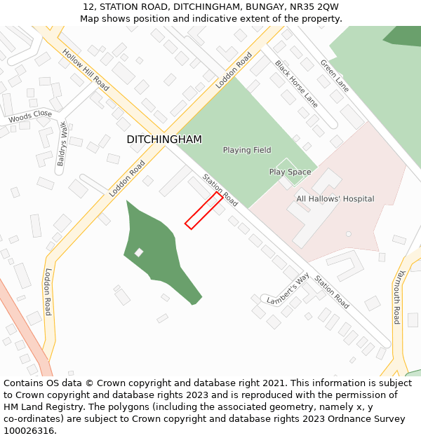 12, STATION ROAD, DITCHINGHAM, BUNGAY, NR35 2QW: Location map and indicative extent of plot