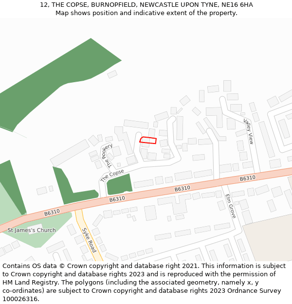 12, THE COPSE, BURNOPFIELD, NEWCASTLE UPON TYNE, NE16 6HA: Location map and indicative extent of plot